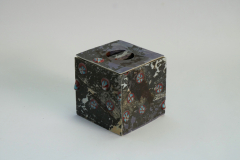 DA-Clematis-Box-2024-view-1