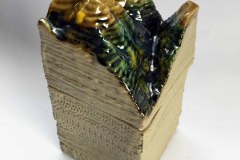 2018 - Mountain box, Tussock and Gorse